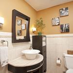 Bathroom Remodel, Eden Prairie, MN Residence